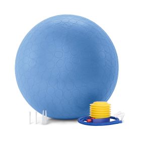 65cm Exercise Yoga Ball, Anti Burst Free Air Pump for Gym Workout