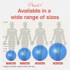 Exercise Ball for Balance Stability Fitness Workout Yoga Pilates at Home Office & Gym Birthing Ball for Pregnancy, Office Ball Chair